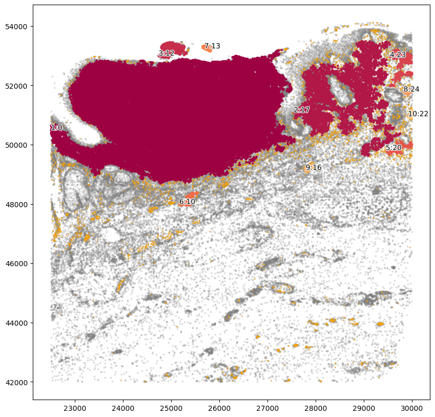 ../_images/tutorial_0_tutorial_spatial_functions_18_0.png