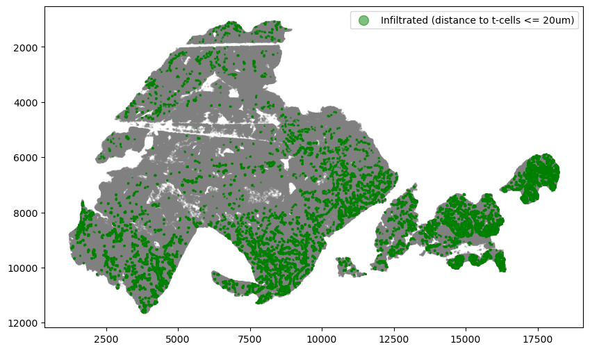 ../_images/tutorial_3_tutorial_immune_infiltration_overlap_24_0.png