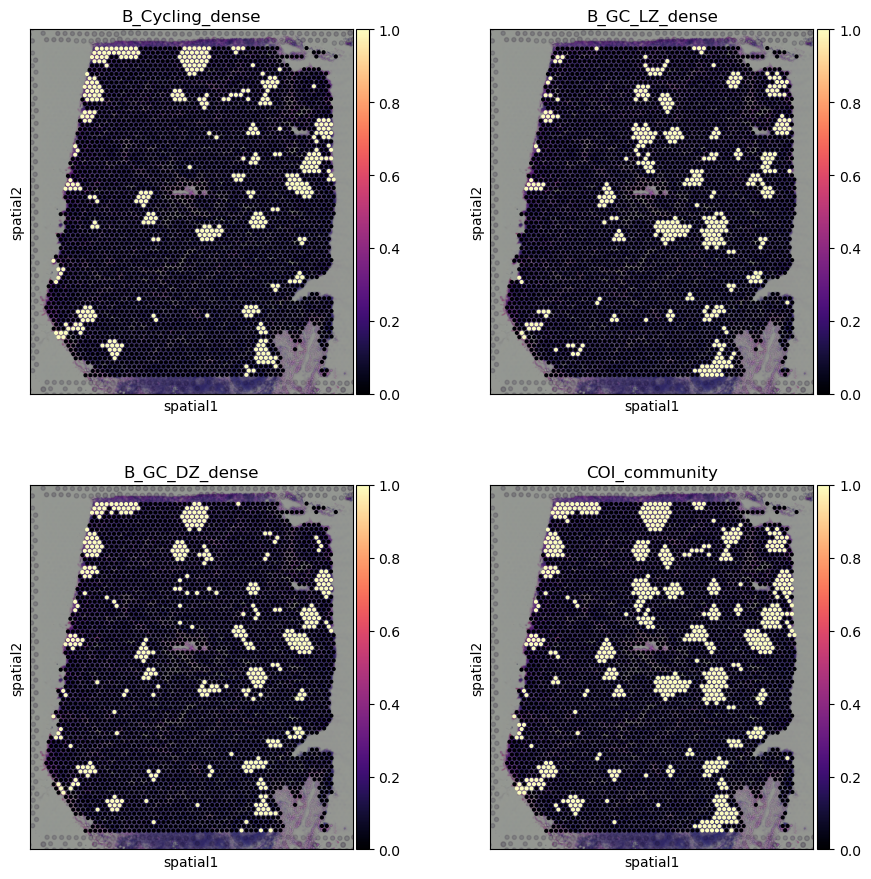 ../_images/tutorial_6_tutorial_visium_cell2location_10_0.png