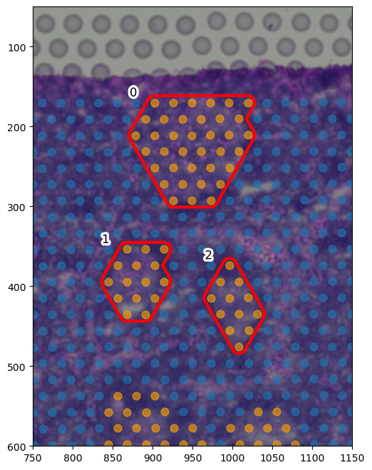 ../_images/tutorial_6_tutorial_visium_cell2location_35_0.png