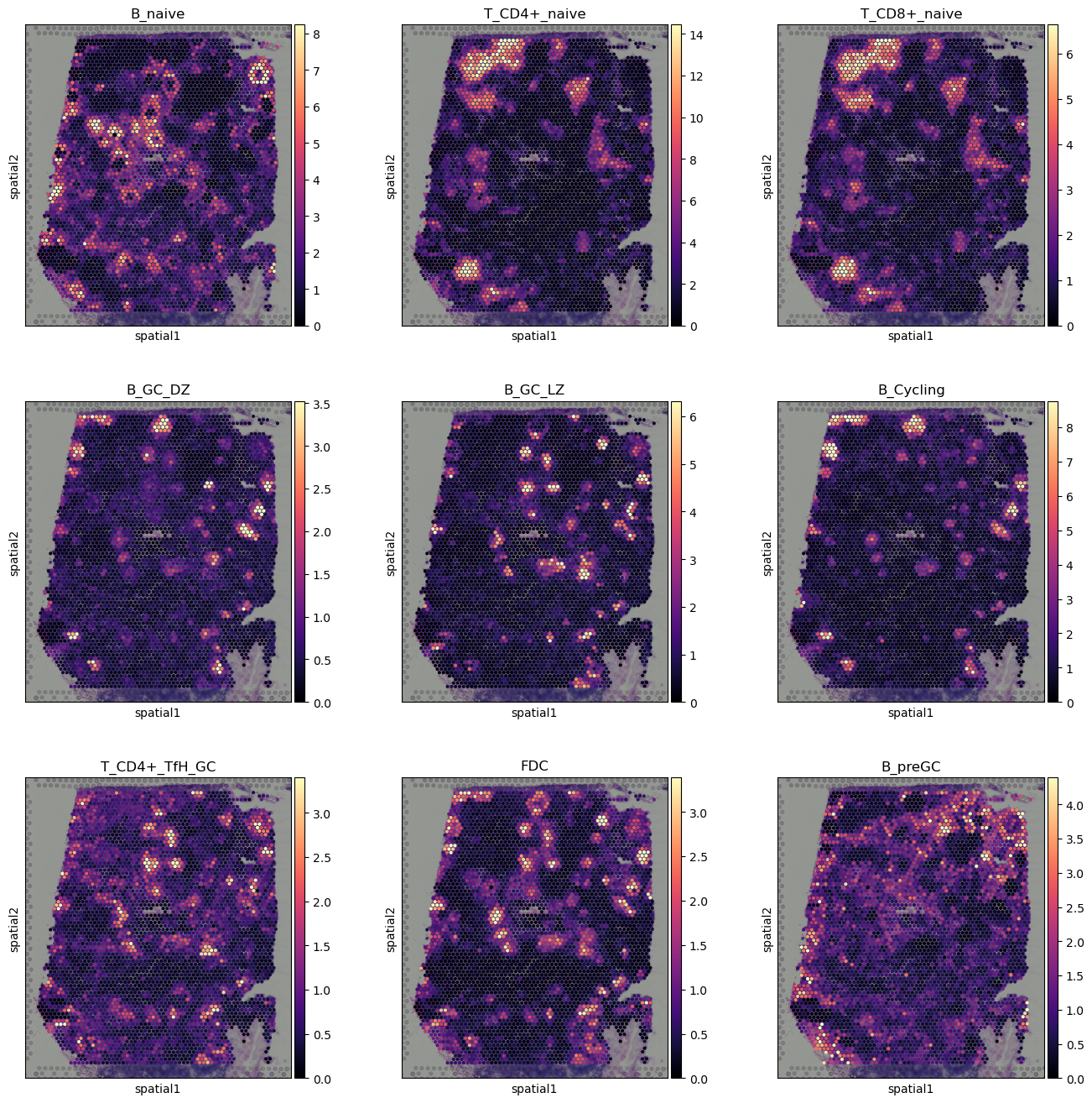 ../_images/tutorial_6_tutorial_visium_cell2location_8_0.png