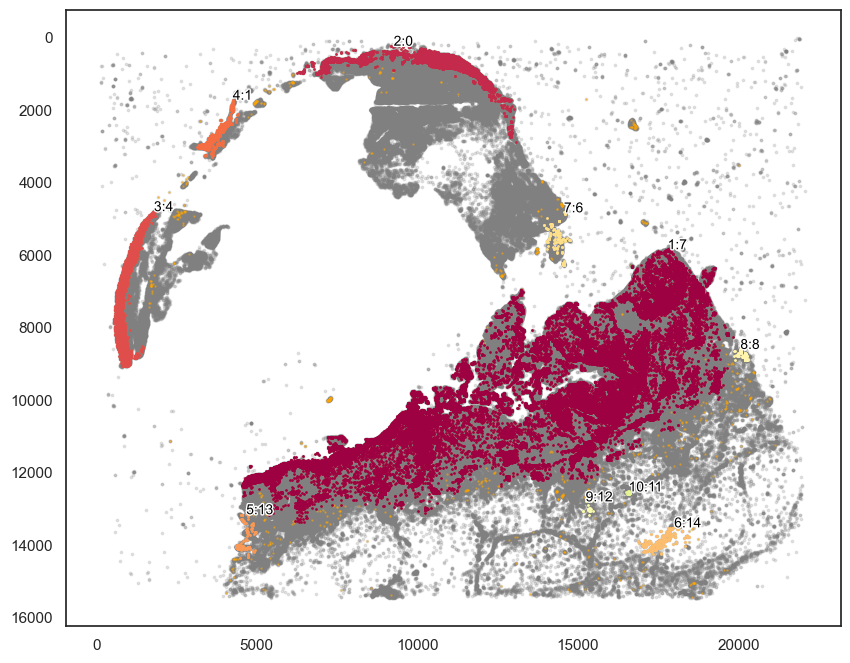 ../_images/tutorial_8_tutorial_scimap_joint_analysis_12_0.png