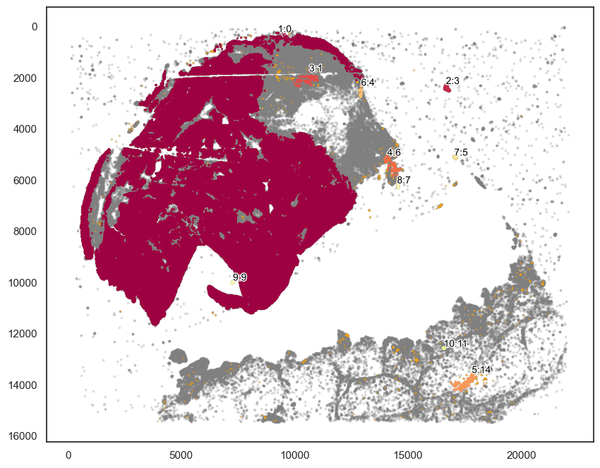 ../_images/tutorial_8_tutorial_scimap_joint_analysis_18_0.png