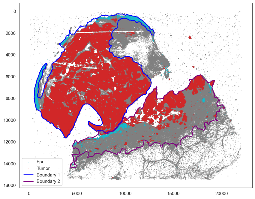 ../_images/tutorial_8_tutorial_scimap_joint_analysis_20_0.png