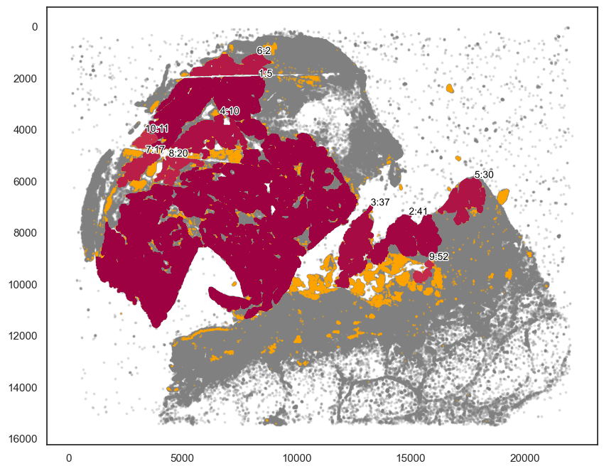 ../_images/tutorial_8_tutorial_scimap_joint_analysis_6_0.png