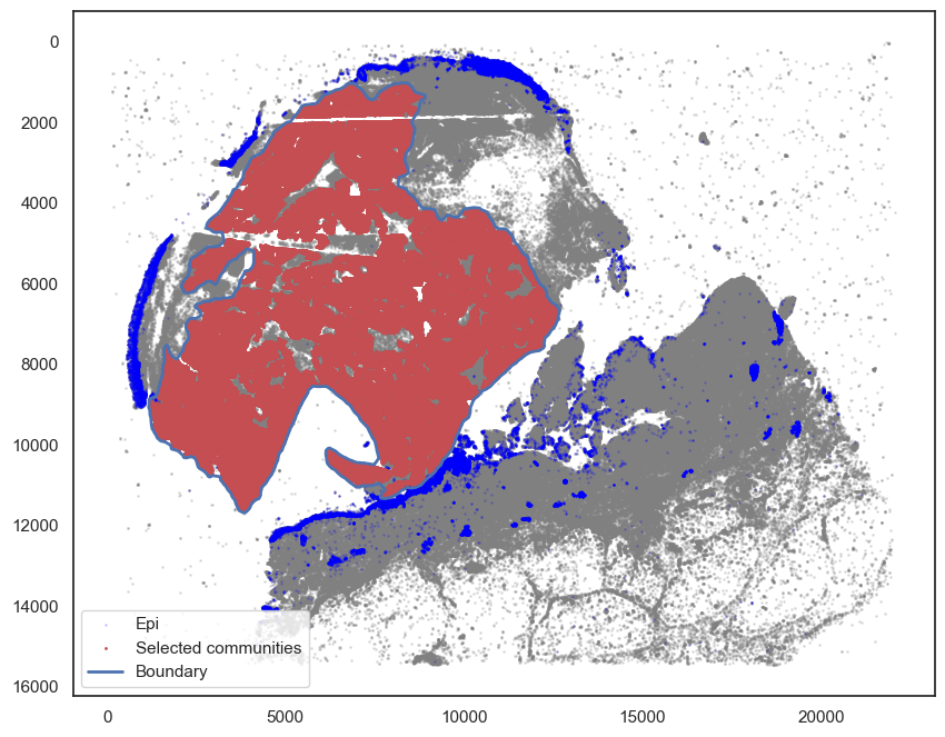 ../_images/tutorial_8_tutorial_scimap_joint_analysis_9_0.png